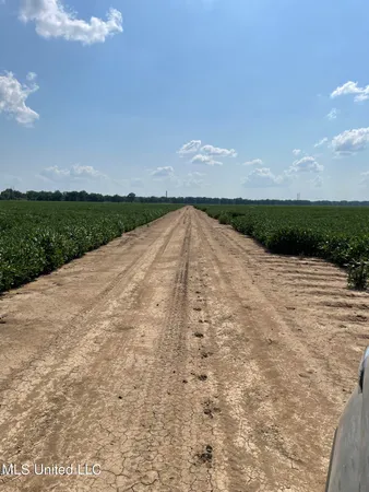 $4,181,925 | St Bayou Road, Anguilla, MS 38721