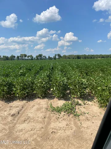 $4,181,925 | St Bayou Road, Anguilla, MS 38721