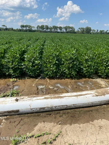 $4,181,925 | St Bayou Road, Anguilla, MS 38721