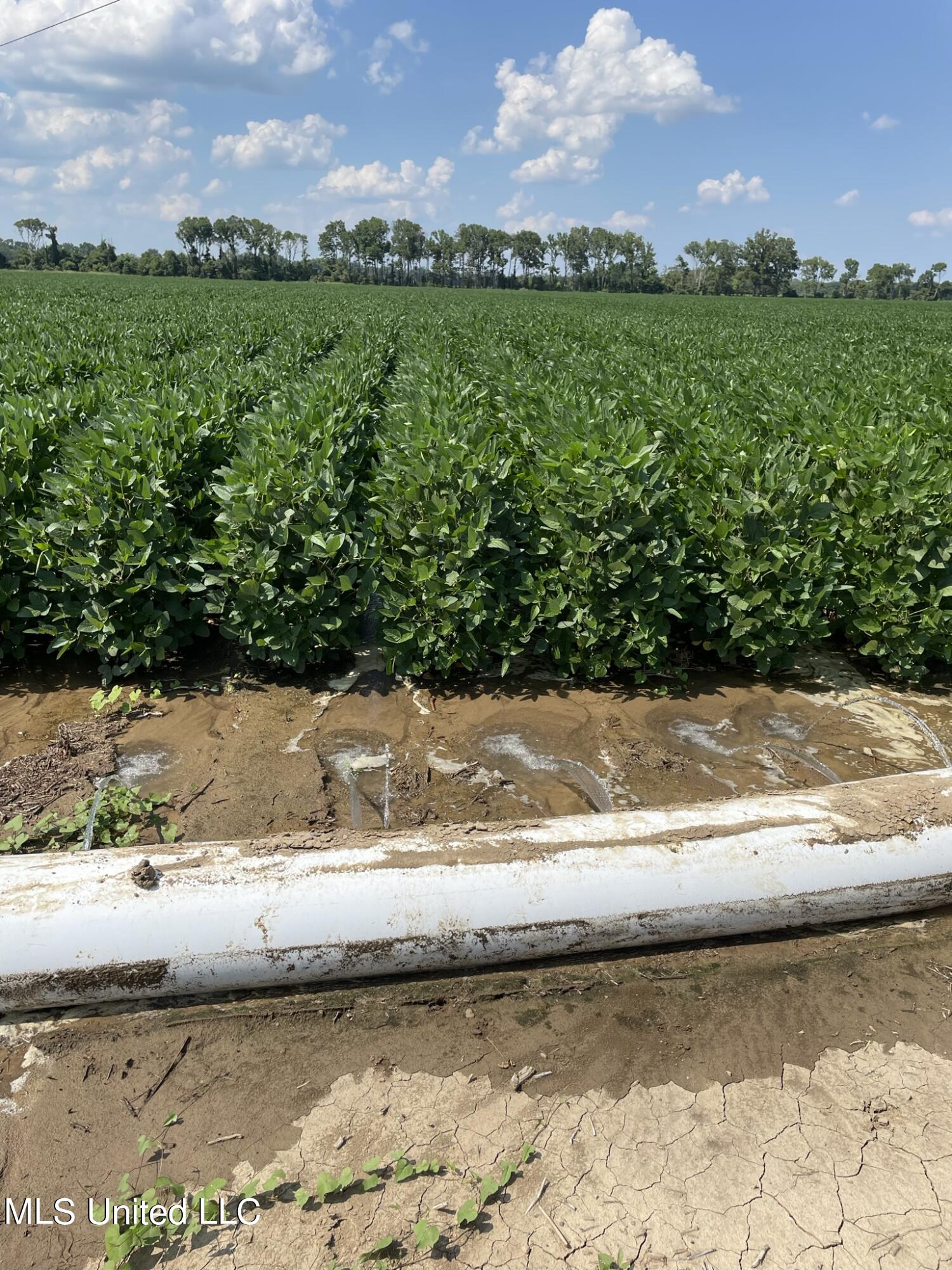 St Bayou Road Anguilla, MS 38721 - Photo 7 of 11 Poly Pipe 1