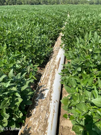 $4,181,925 | St Bayou Road, Anguilla, MS 38721