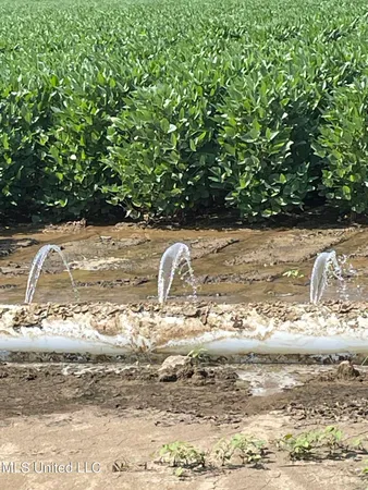 $4,181,925 | St Bayou Road, Anguilla, MS 38721