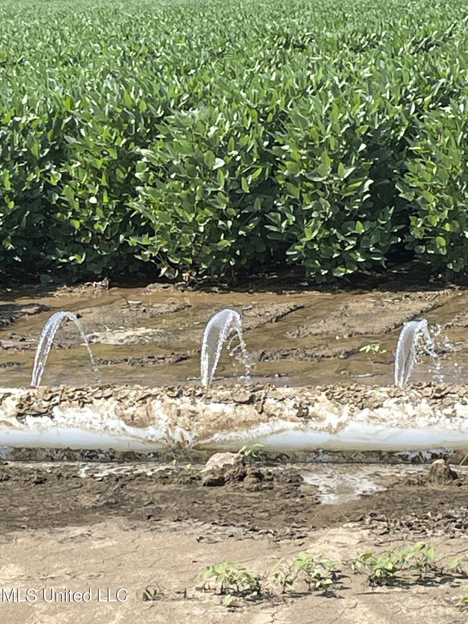 St Bayou Road Anguilla, MS 38721 - Photo 10 of 11 Poly Pipe 2 Potosi3