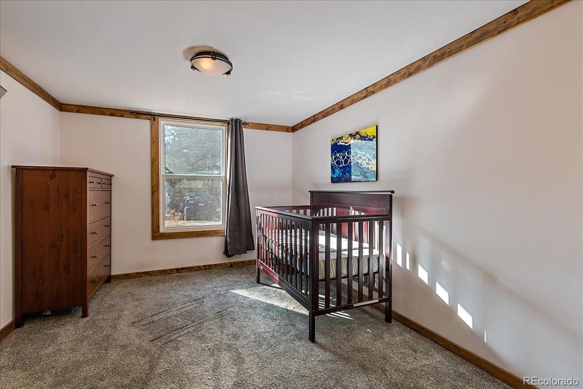 33424 Freda Road Pine, CO 80470 - Photo 13 of 32 Gallery Image 13