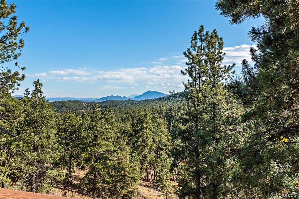 33424 Freda Road Pine, CO 80470 - Photo 21 of 32 Gallery Image 21