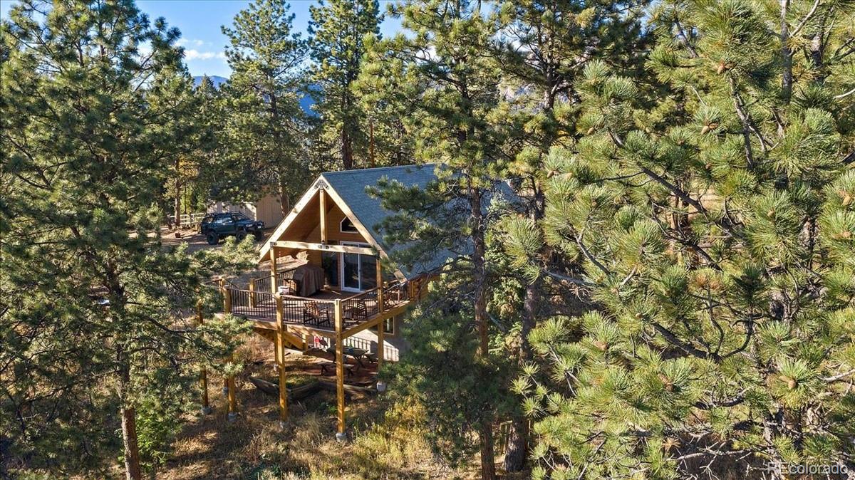 33424 Freda Road Pine, CO 80470 - Photo 23 of 32 Gallery Image 23