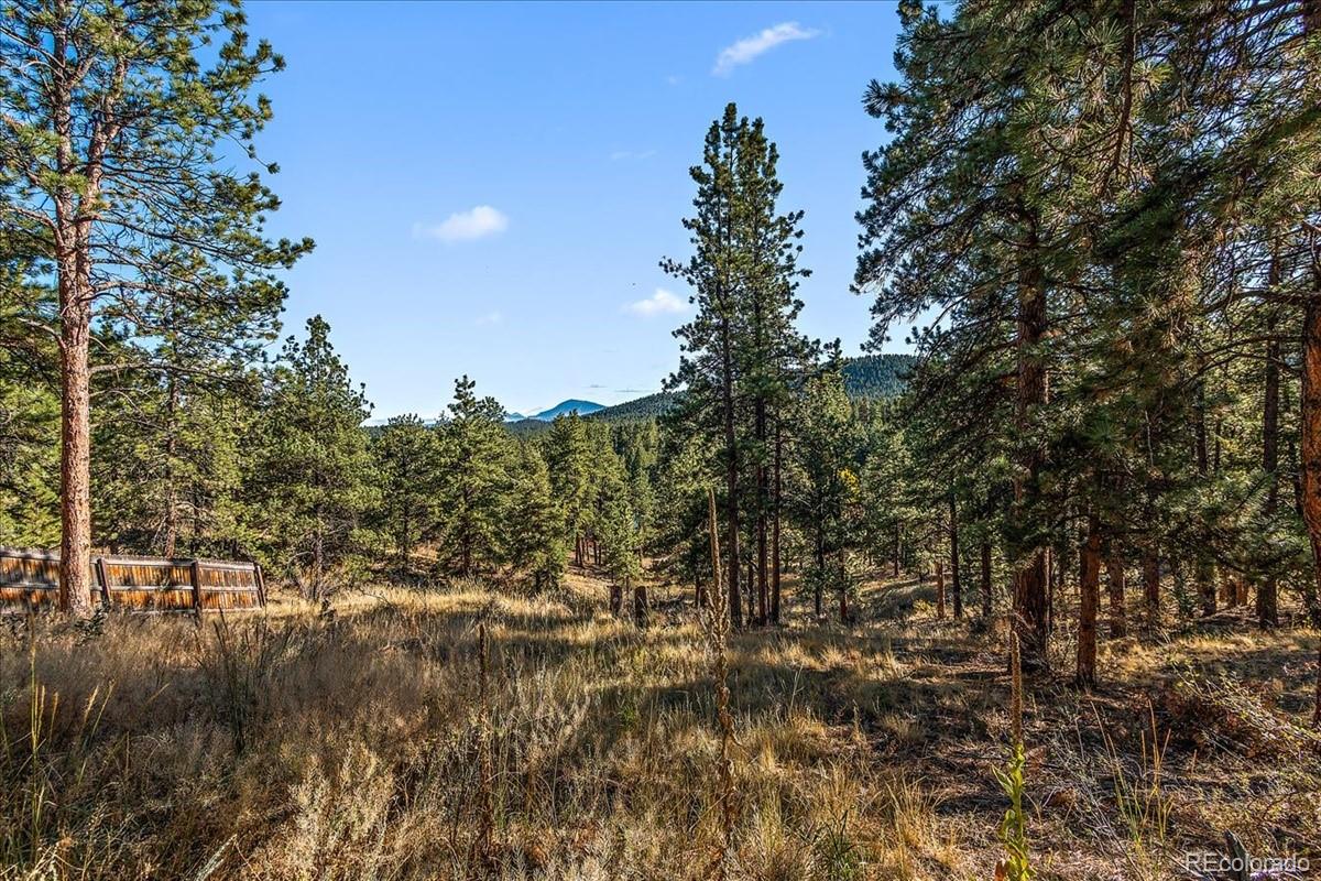33424 Freda Road Pine, CO 80470 - Photo 25 of 32 Gallery Image 25