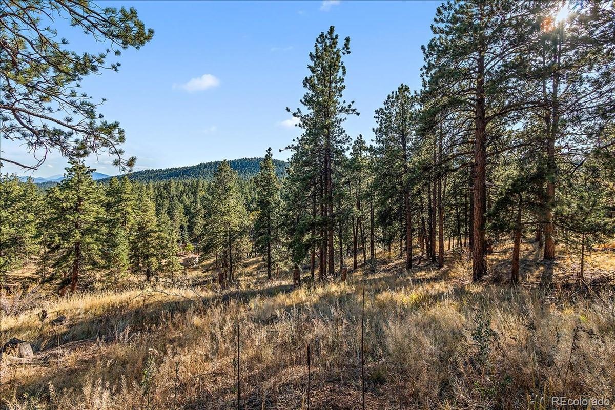 33424 Freda Road Pine, CO 80470 - Photo 26 of 32 Gallery Image 26