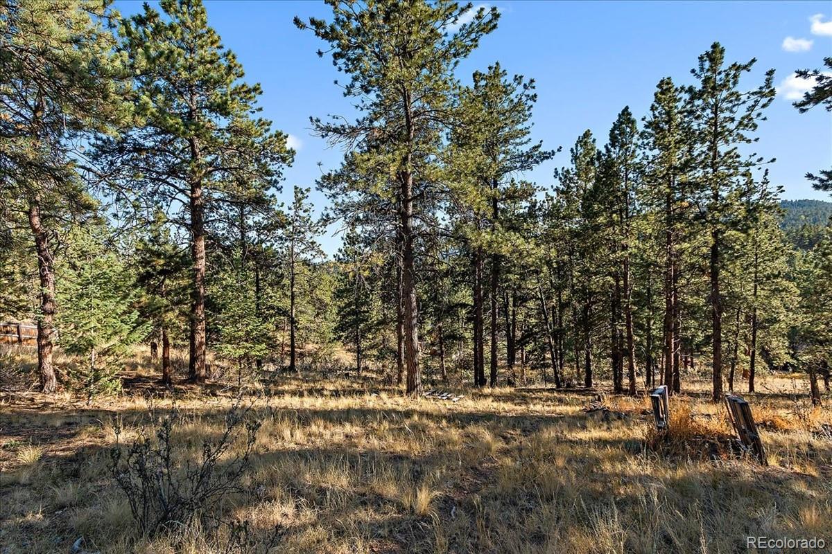 33424 Freda Road Pine, CO 80470 - Photo 27 of 32 Gallery Image 27