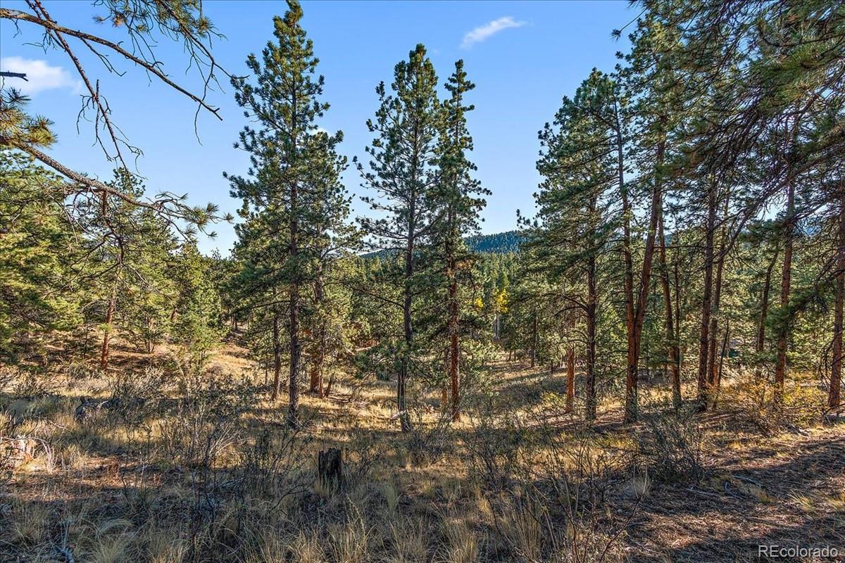33424 Freda Road Pine, CO 80470 - Photo 28 of 32 Gallery Image 28