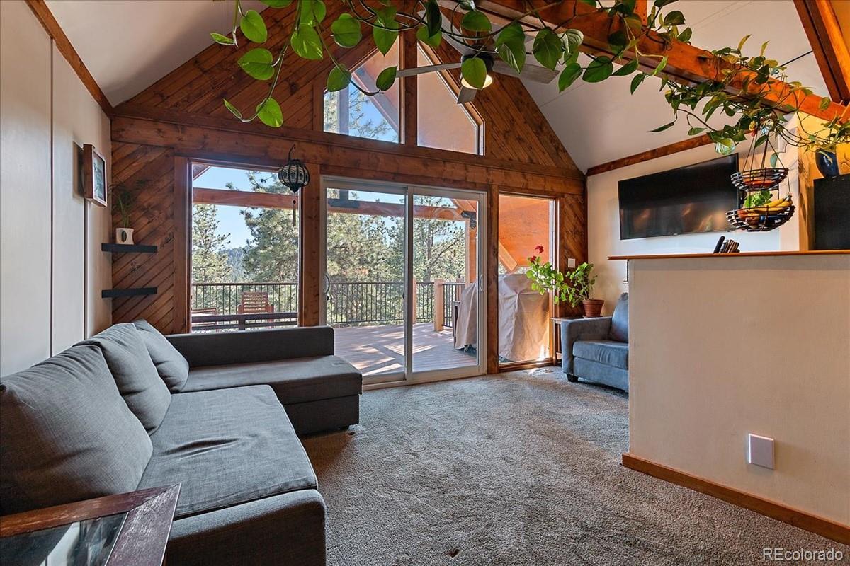 33424 Freda Road Pine, CO 80470 - Photo 9 of 32 Gallery Image 9
