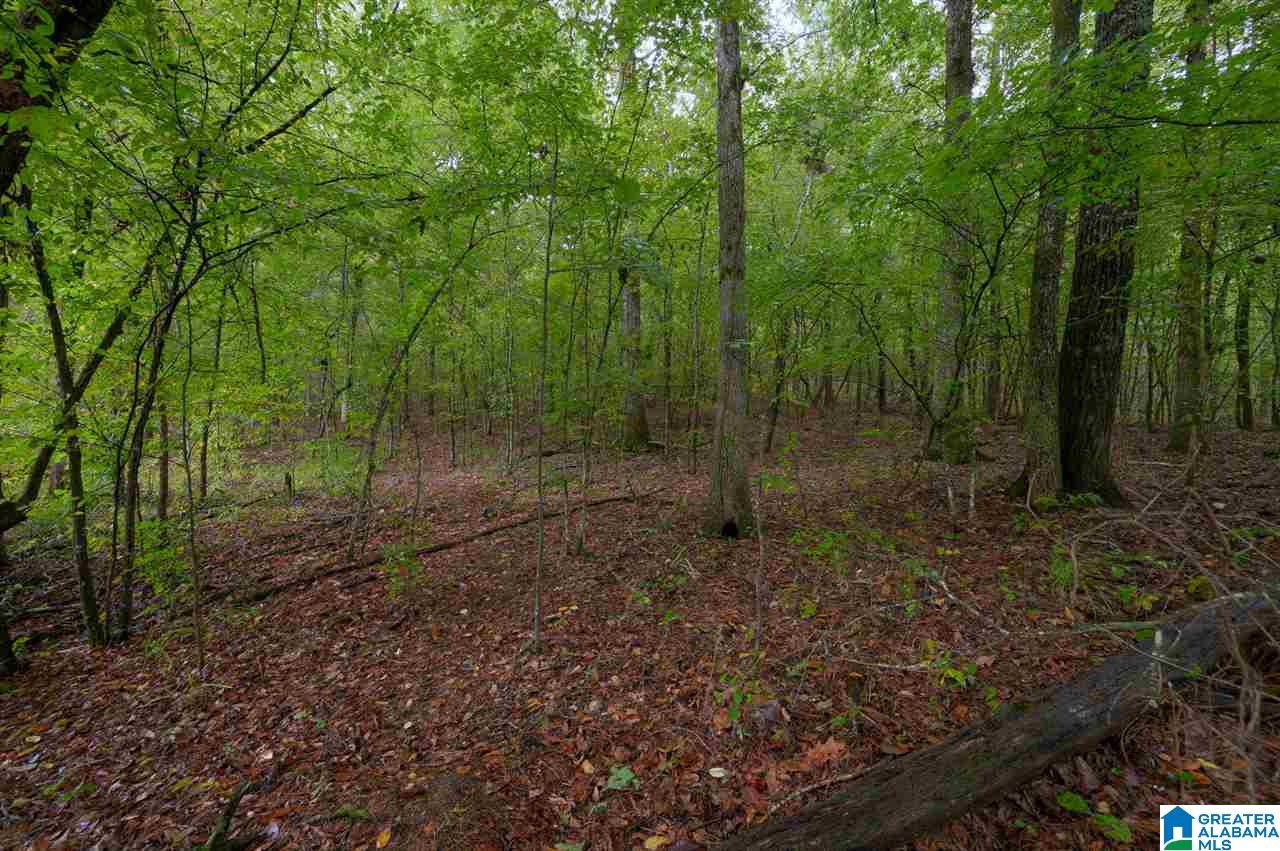 4864 Mt Olive Road Gardendale, AL 35071 - Photo 38 of 42
