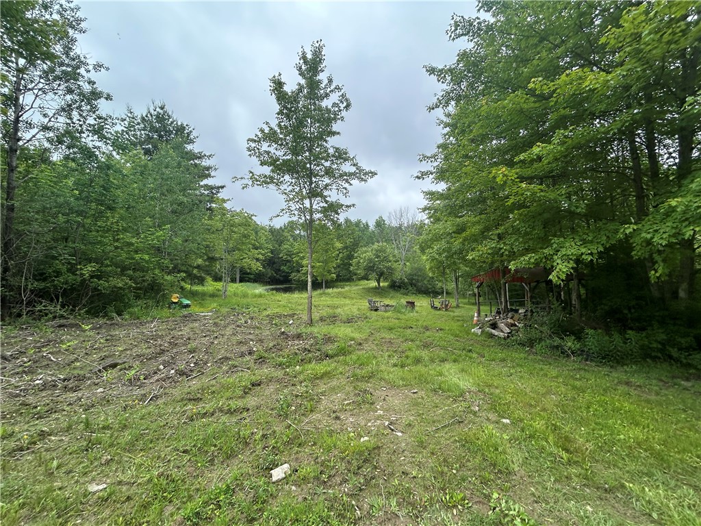 Hill Road Spencer, NY 14883 - Photo 1 of 1 Gallery Image 1