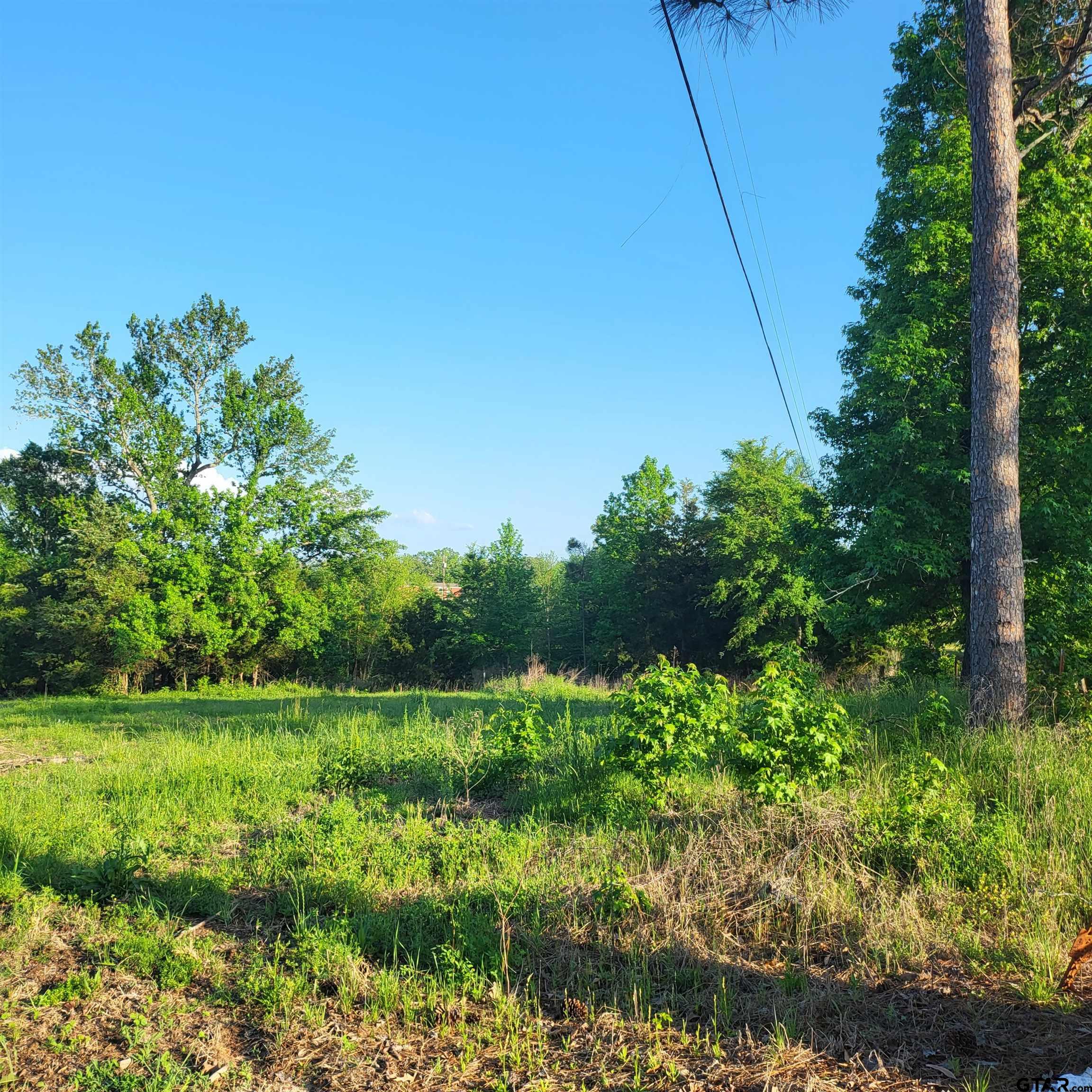 9400 C R 414 Tyler, TX 75704 - Photo 2 of 8 a view of a field with plants and trees