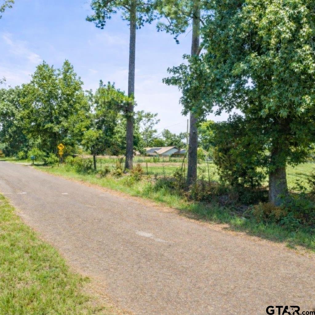 9400 C R 414 Tyler, TX 75704 - Photo 3 of 8 a view of a yard with plants and trees