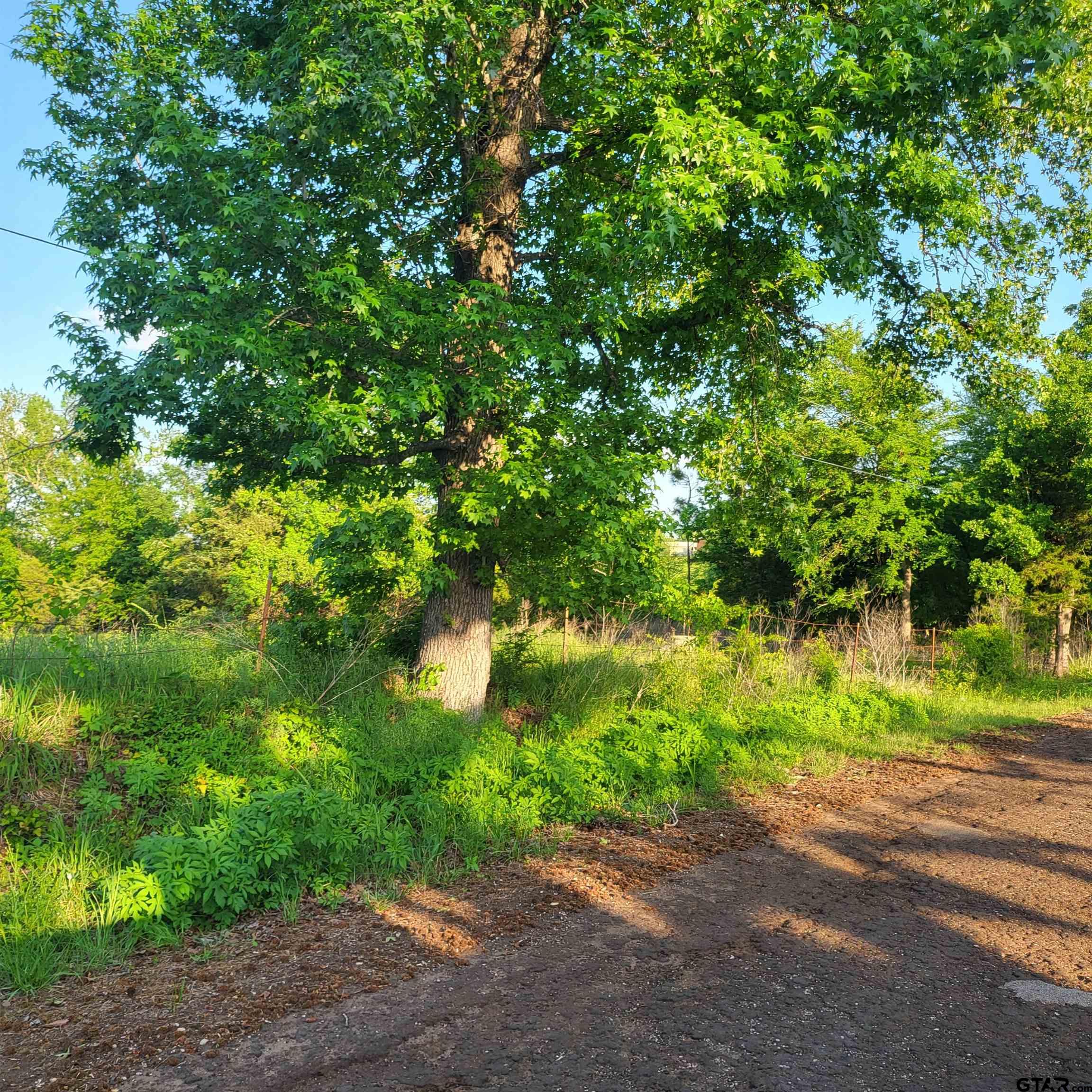 9400 C R 414 Tyler, TX 75704 - Photo 4 of 8 a backyard of a house with lots of green space