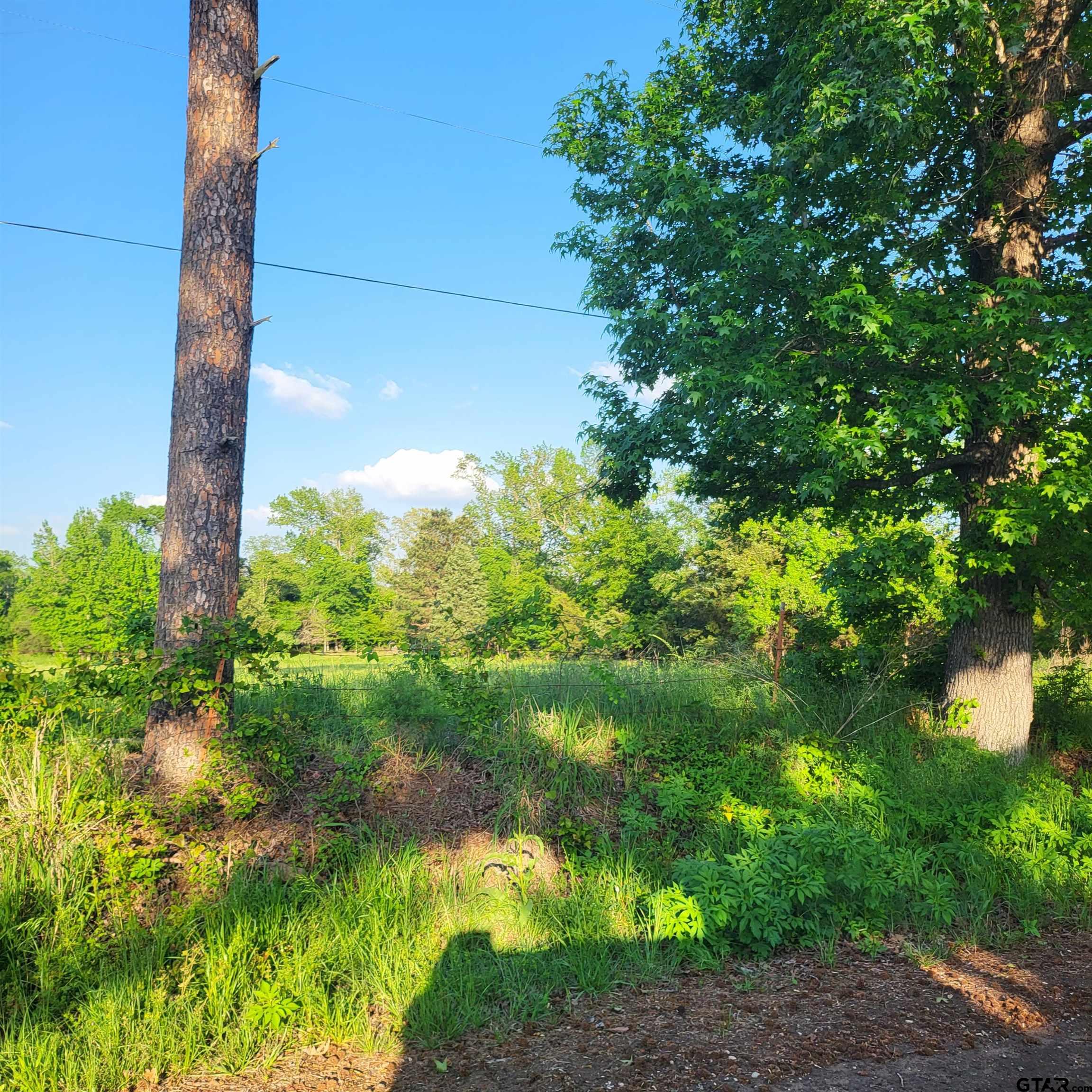9400 C R 414 Tyler, TX 75704 - Photo 5 of 8 a backyard of a house with lots of green space