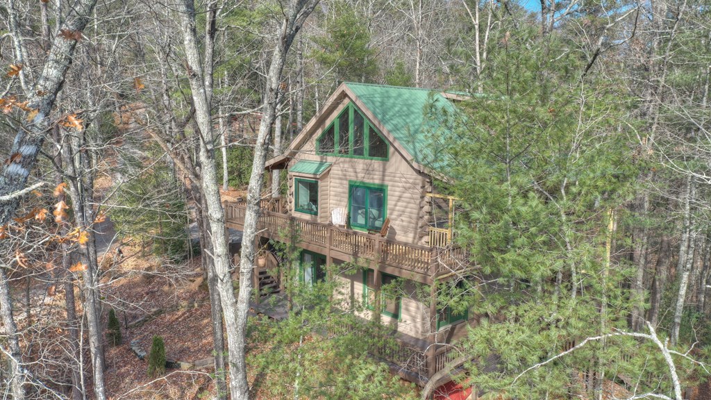 133 Rocky Road Cherry Log, GA 30522 - Photo 13 of 46