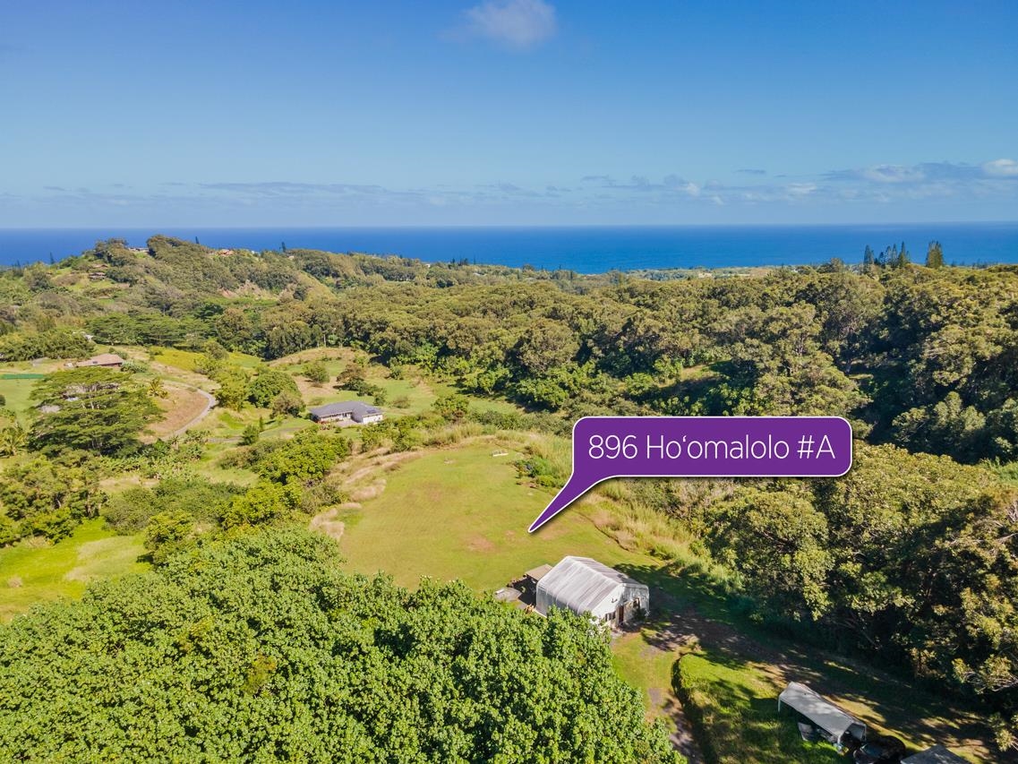676 Kaupakalua Road, Unit A Haiku, HI 96708 - Photo 1 of 21 a view of a big yard
