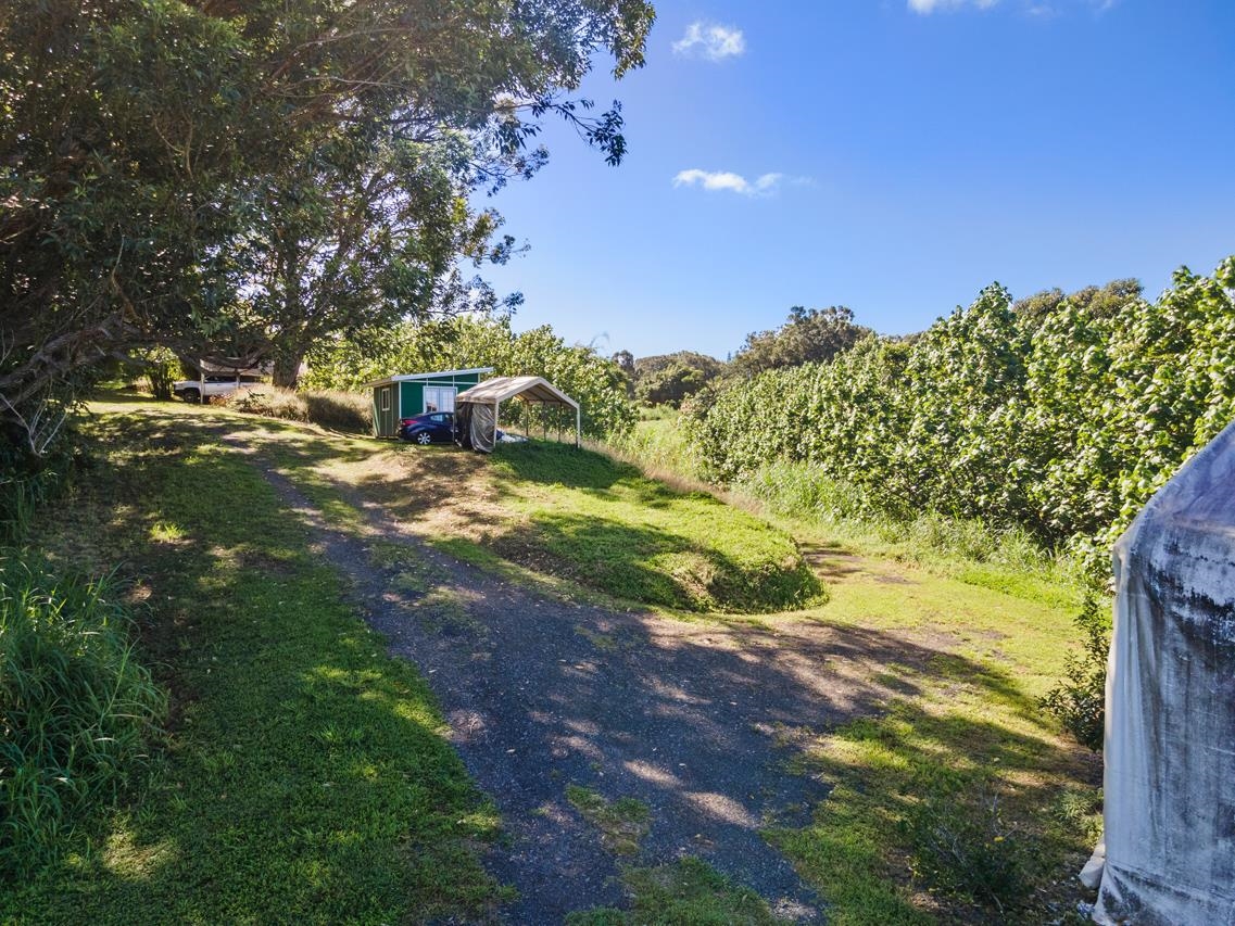 676 Kaupakalua Road, Unit A Haiku, HI 96708 - Photo 21 of 21 a view of a yard with a tree