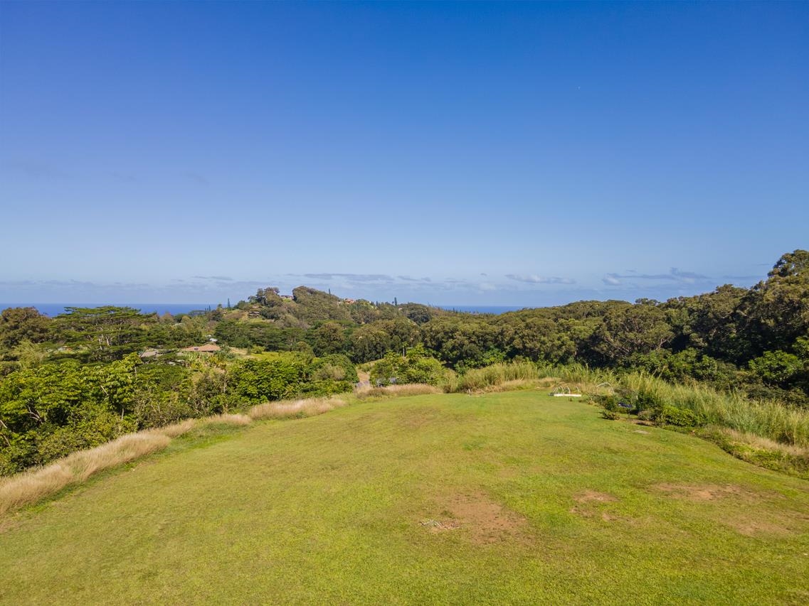 676 Kaupakalua Road, Unit A Haiku, HI 96708 - Photo 3 of 21