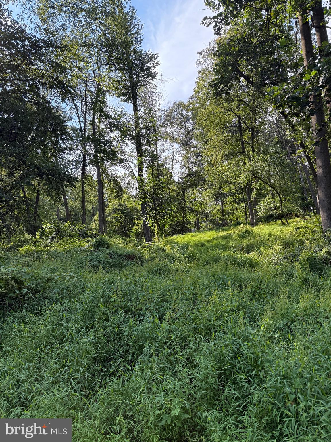 a view of outdoor space and yard