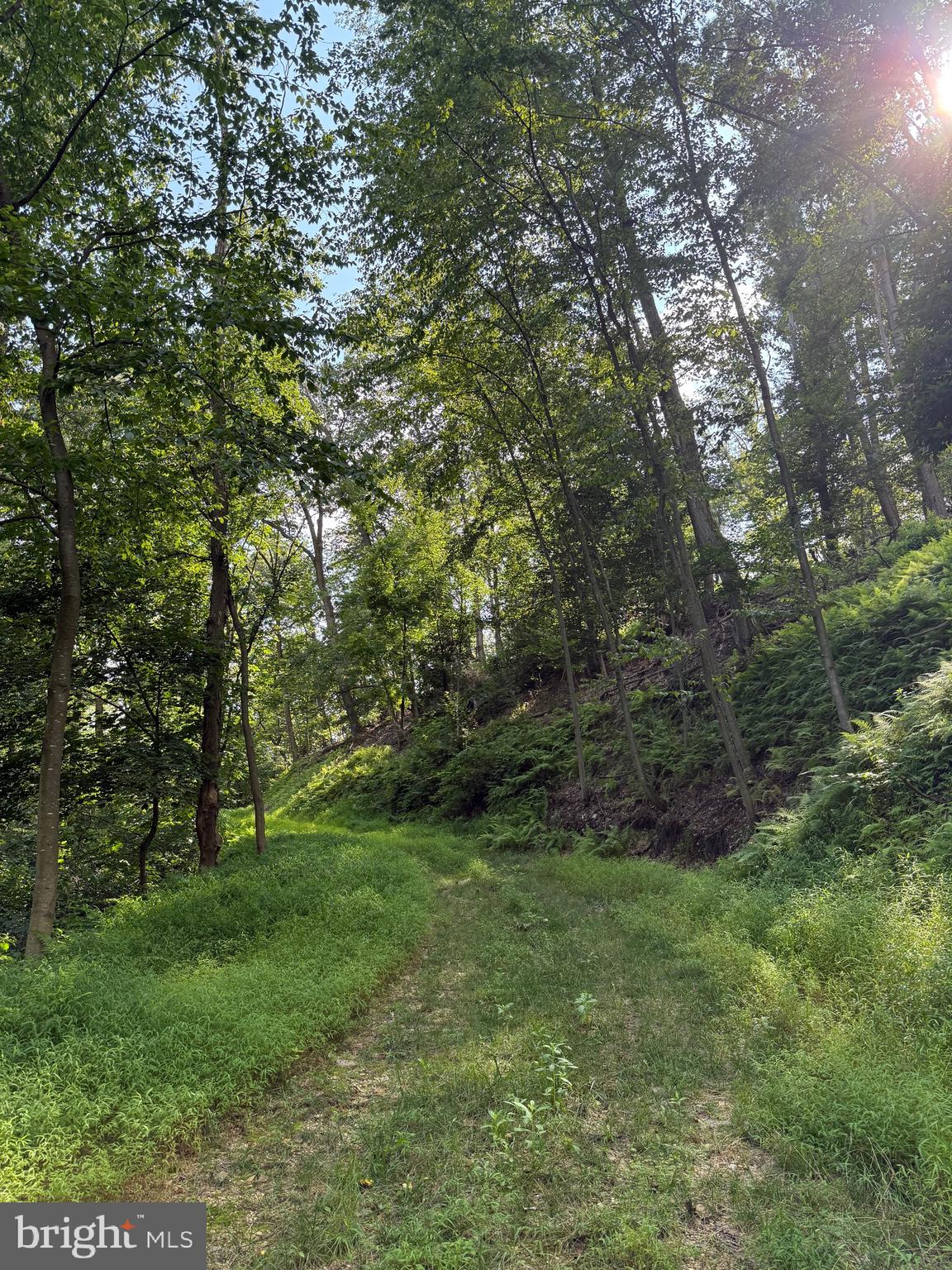 Cushion Peak Road Wernersville, PA 19565 - Photo 2 of 7 a big yard with lots of green space and deers