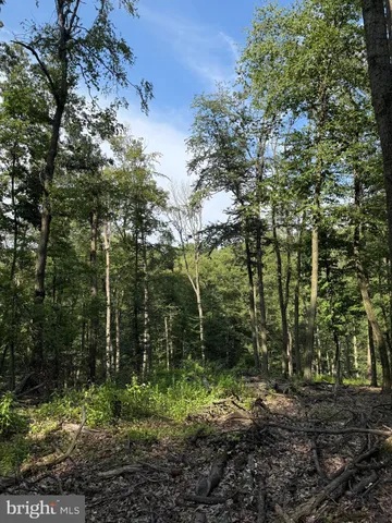 $719,990 | Cushion Peak Road, Wernersville, PA 19565