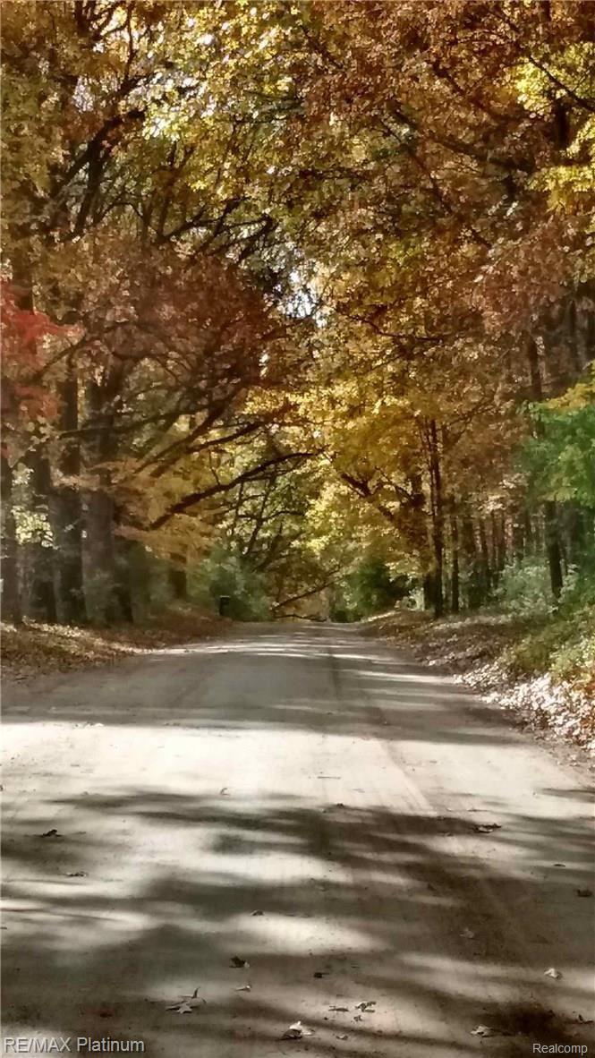 6945 Gawley Road Pinckney, MI 48169 - Photo 73 of 76 Seller provided fall view going down Gawley road.