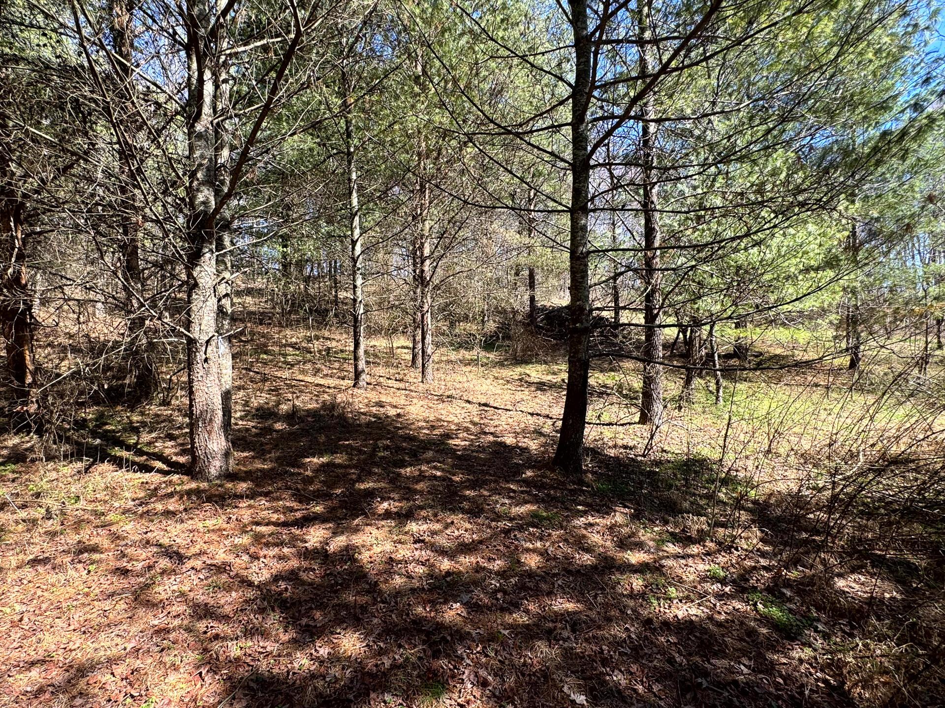 999 Poplar Ridge Road, Unit PONDS POPLAR RIDGE TRACT 15) Gallipolis, OH 45631 - Photo 27 of 34 CT-28