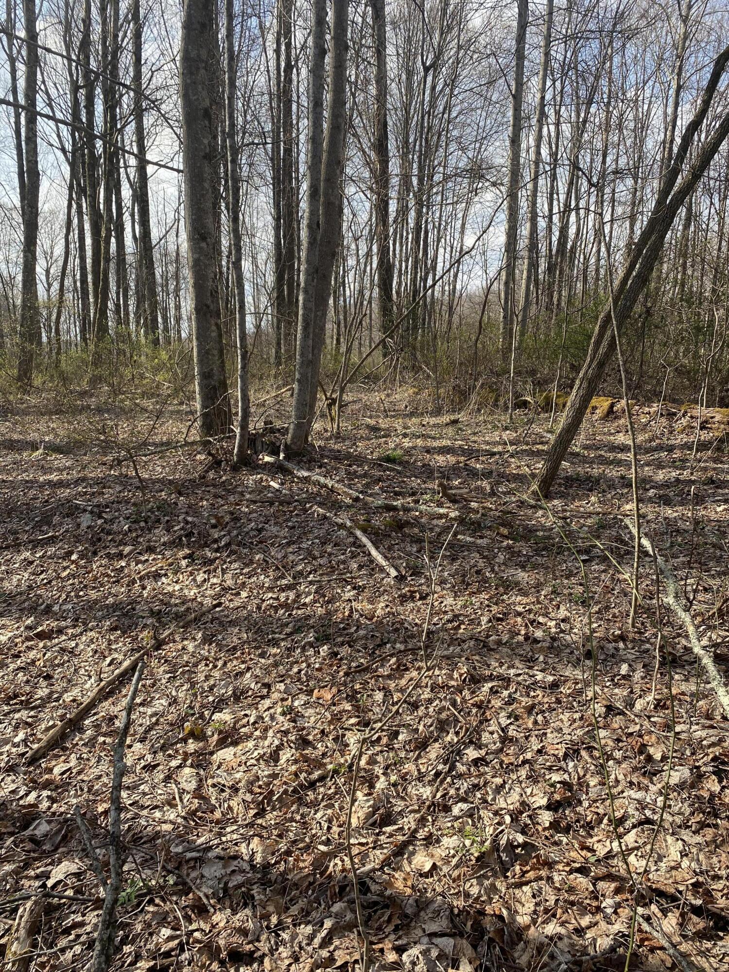 4848 Thompson Road Wise, VA 24293 - Photo 2 of 5 6699C9C9-3ED7-4E96-8CD9-A70C9E8EF883
