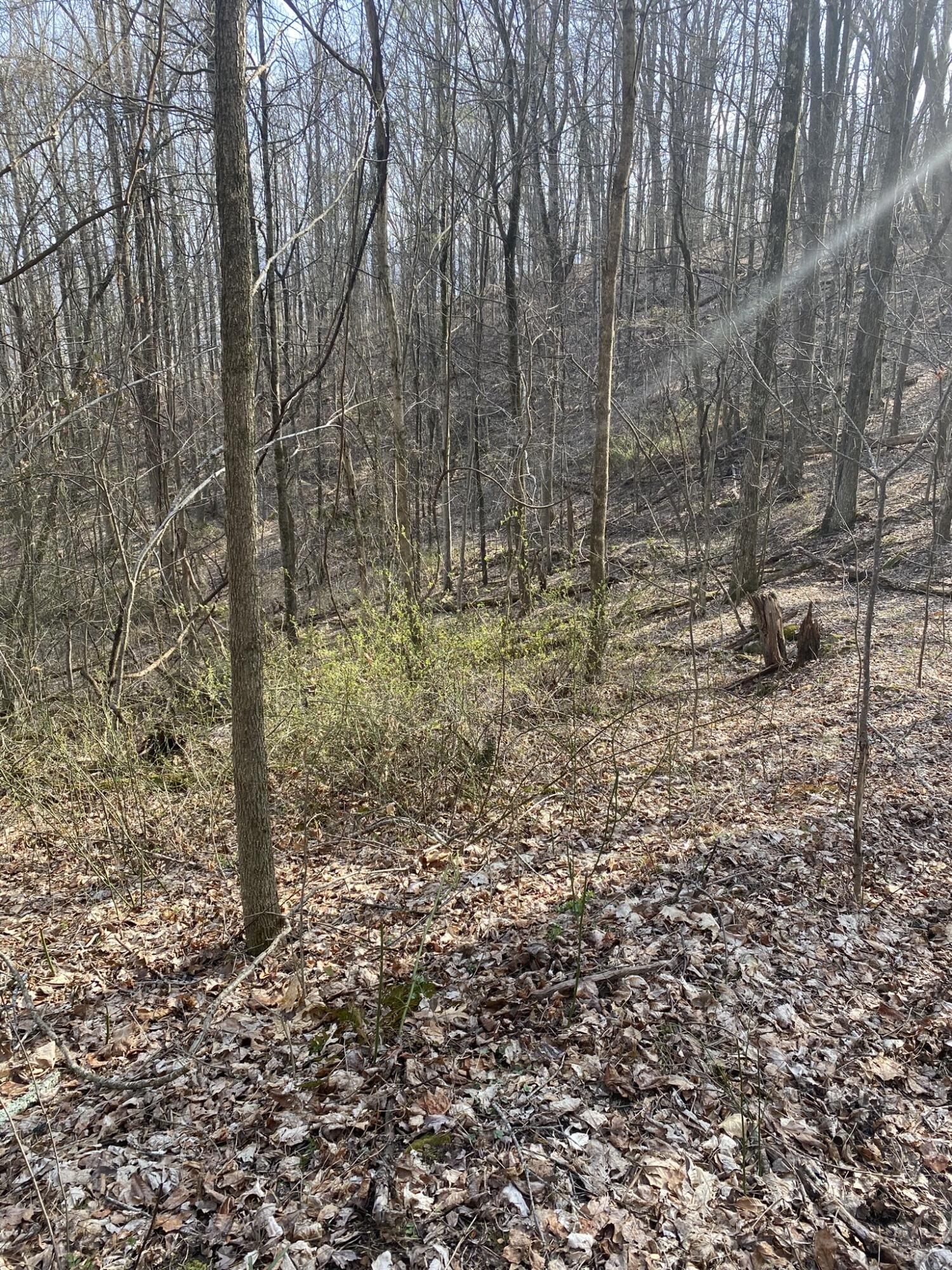 4848 Thompson Road Wise, VA 24293 - Photo 3 of 5 70FB0CBE-BF1C-4A94-A302-598935F25408