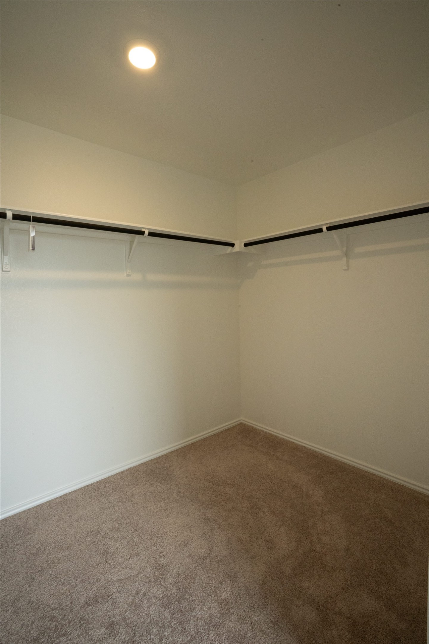 105 Carmello Kyle, TX 78640 - Photo 11 of 30 Walk in closet featuring carpet