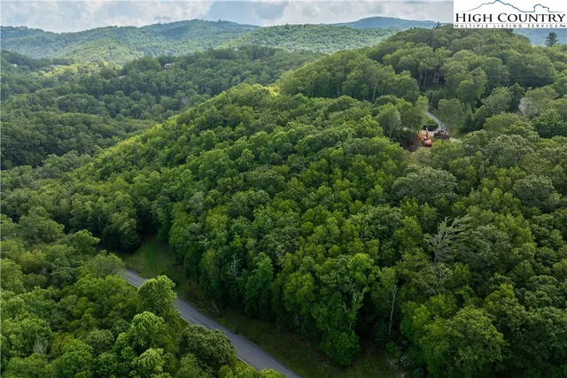 a view of a forest with a street