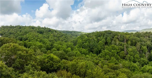 a view of a city with lush green forest
