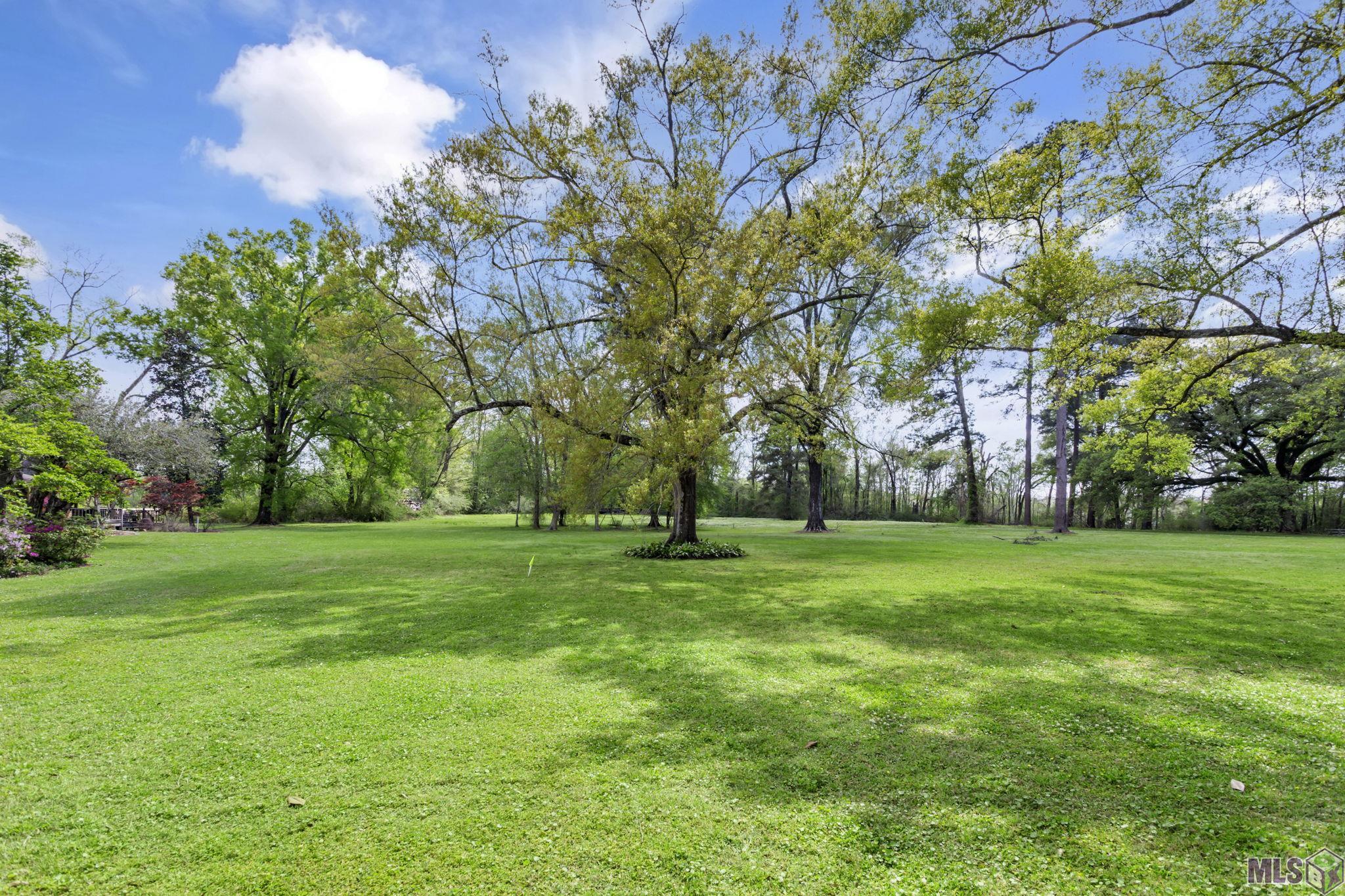 9765 Barringer Foreman Road St. George, LA 70809 - Photo 16 of 19