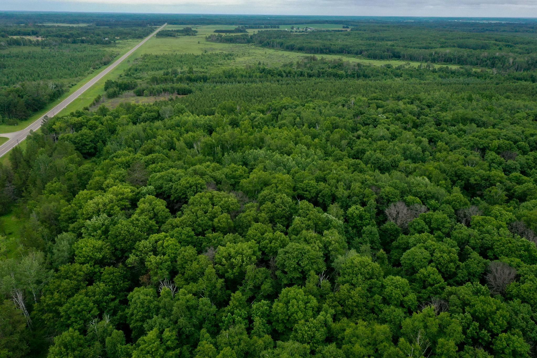 25820 County Road 26 Sebeka, MN 56477 - Photo 1 of 103