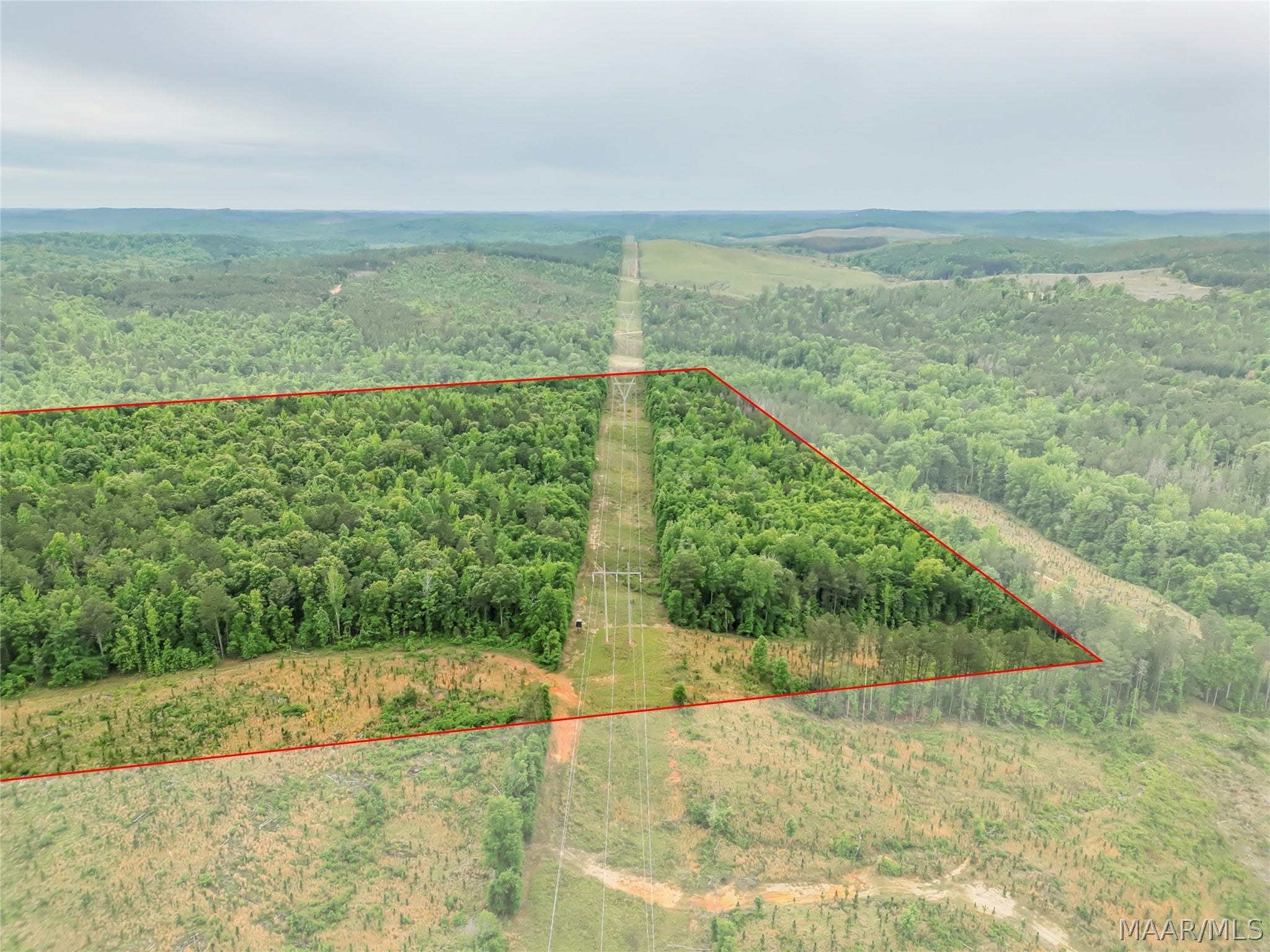 0 Lagrone Road Moundville, AL 35474 - Photo 4 of 13 Gallery Image 4