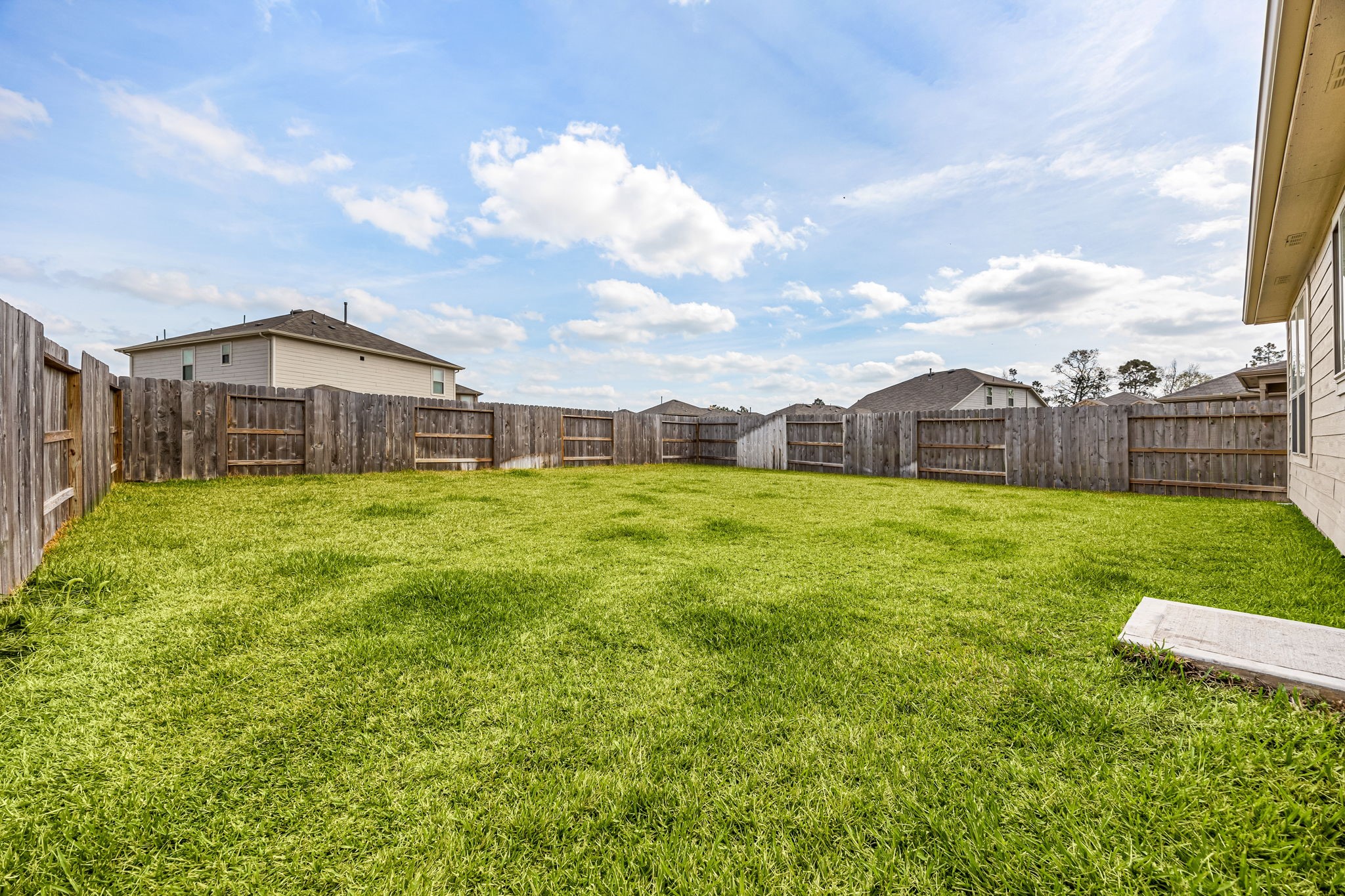 16907 Elm Grove Road Conroe, TX 77302 - Photo 37 of 50 Backyard