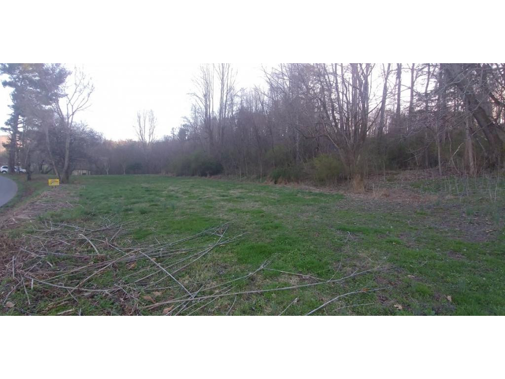 159 Jim Elliott Road Elizabethton, TN 37643 - Photo 3 of 4 Photo 3