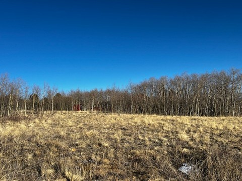 3538 High Creek Road Fairplay, CO 80440 - Photo 23 of 24 Lot Photo