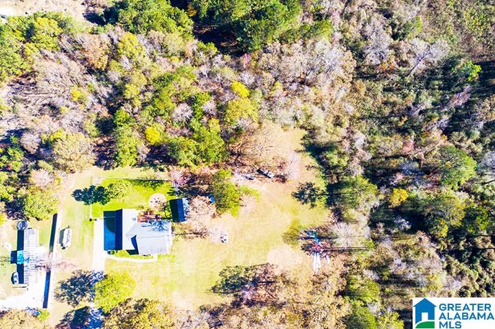 109 Mahaffey Road Eastaboga, AL 36260 - Photo 3 of 28