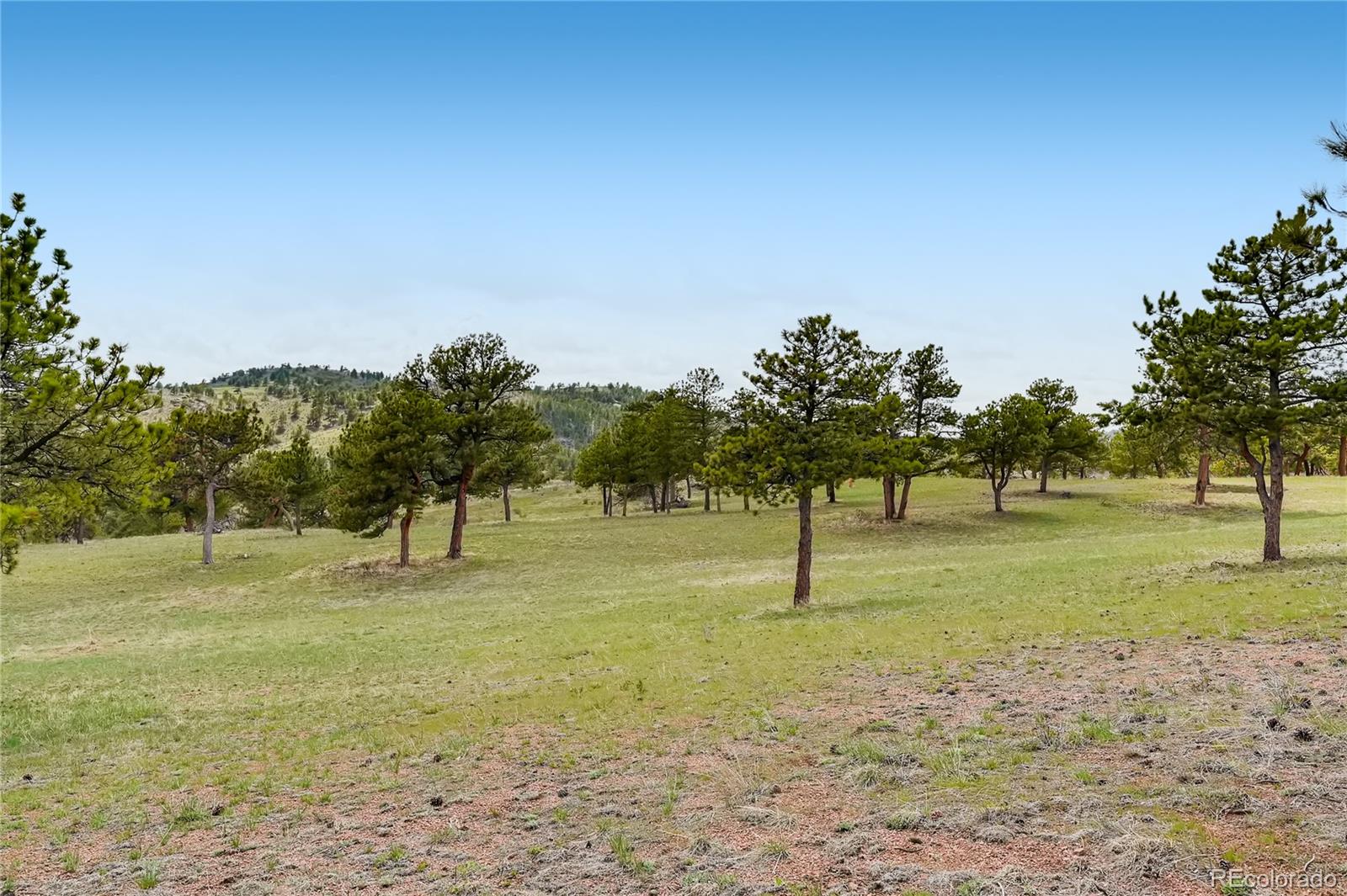 524 Wanstead Road Livermore, CO 80536 - Photo 25 of 37 Gallery Image 25