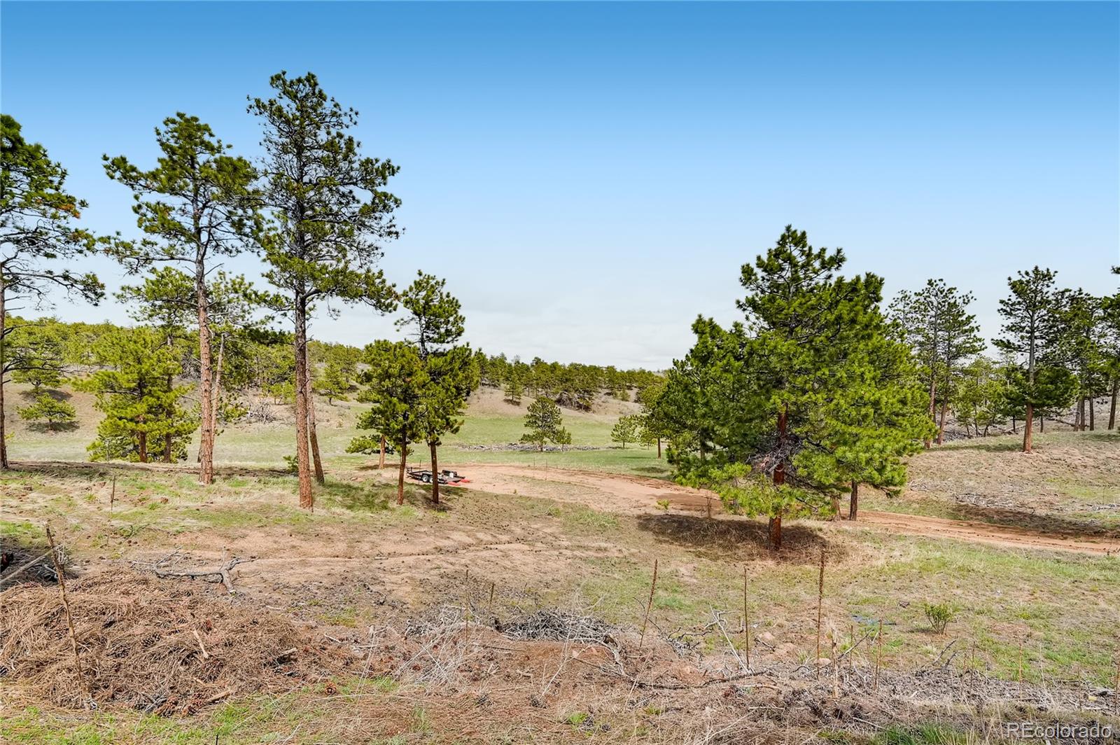 524 Wanstead Road Livermore, CO 80536 - Photo 26 of 37 Gallery Image 26