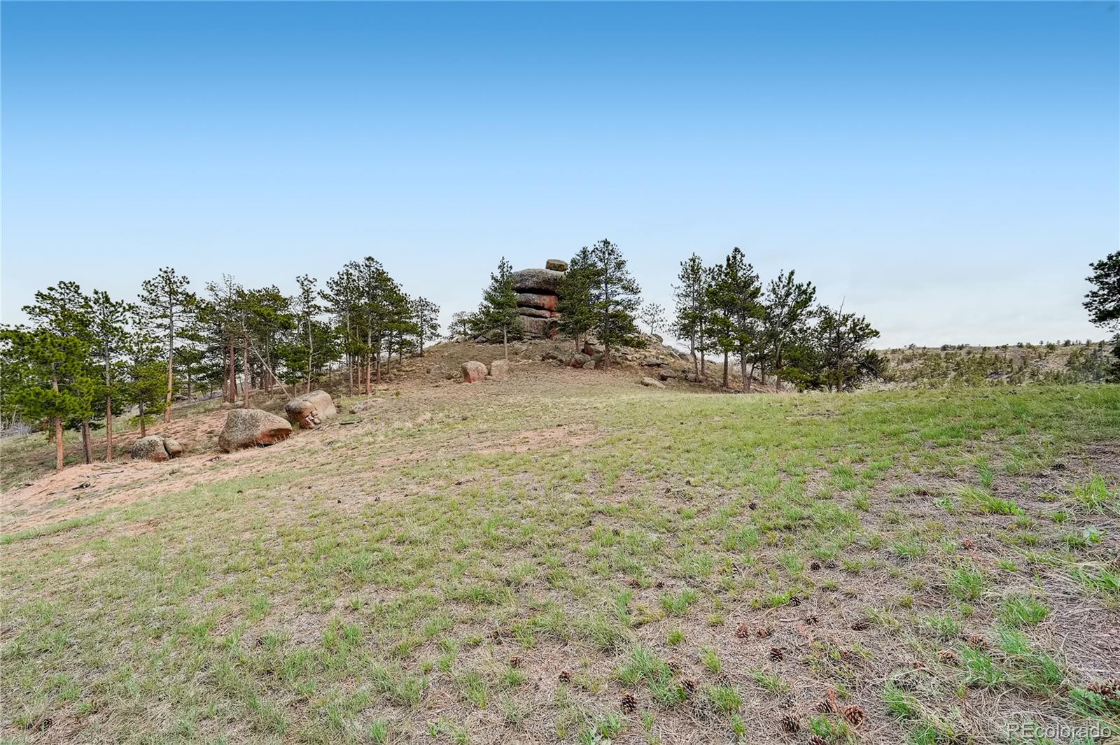 524 Wanstead Road Livermore, CO 80536 - Photo 29 of 37 Gallery Image 29