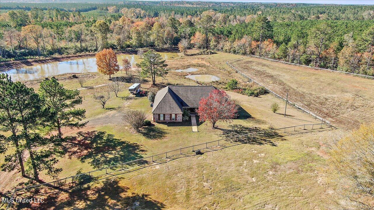 601 Henry Thurman Road Mount Olive, MS 39119 - Photo 1 of 86 67-601 Henry Thurman Rd