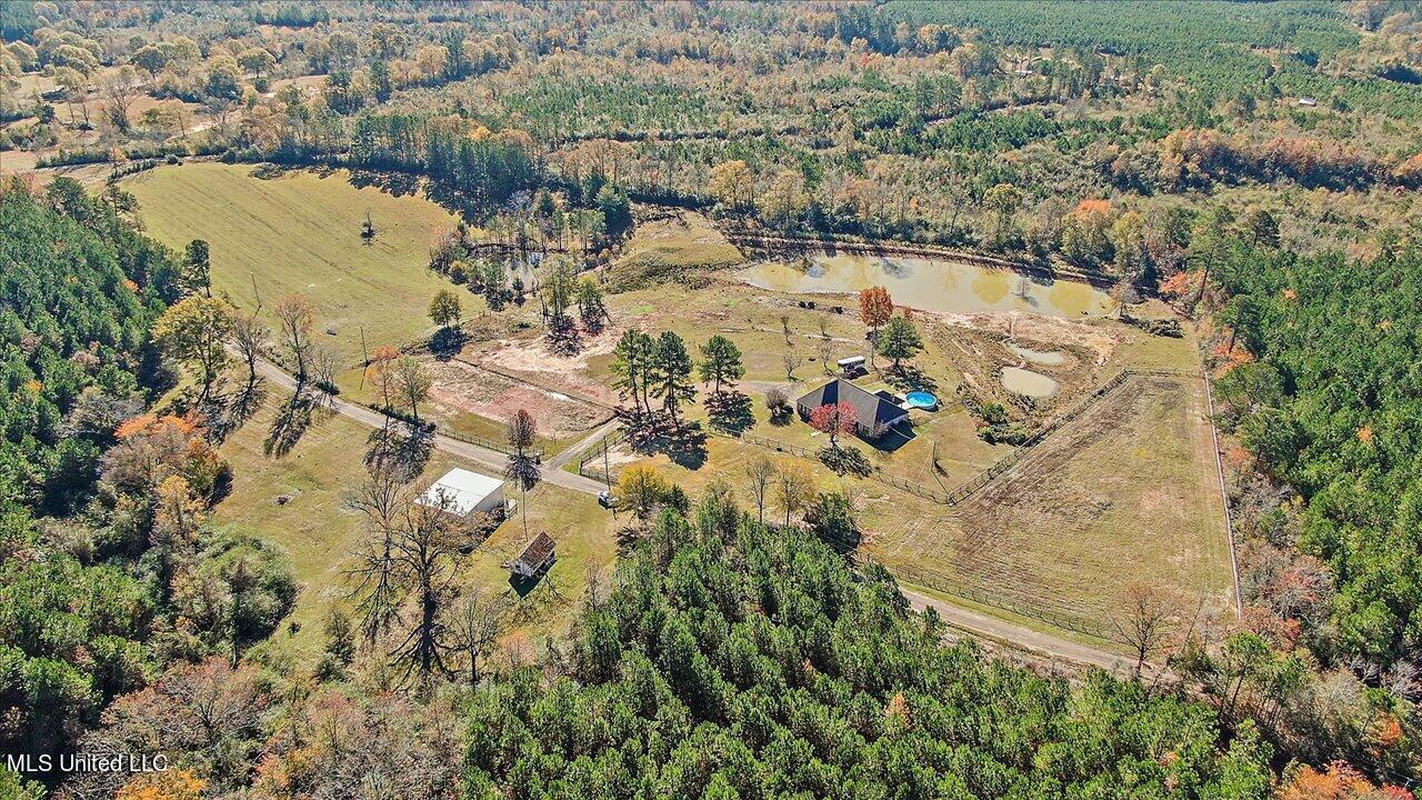 601 Henry Thurman Road Mount Olive, MS 39119 - Photo 2 of 86 72-601 Henry Thurman Rd