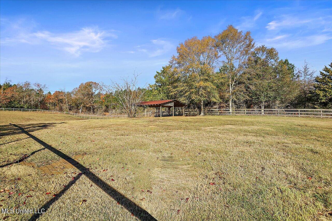 601 Henry Thurman Road Mount Olive, MS 39119 - Photo 47 of 86 47-601 Henry Thurman Rd