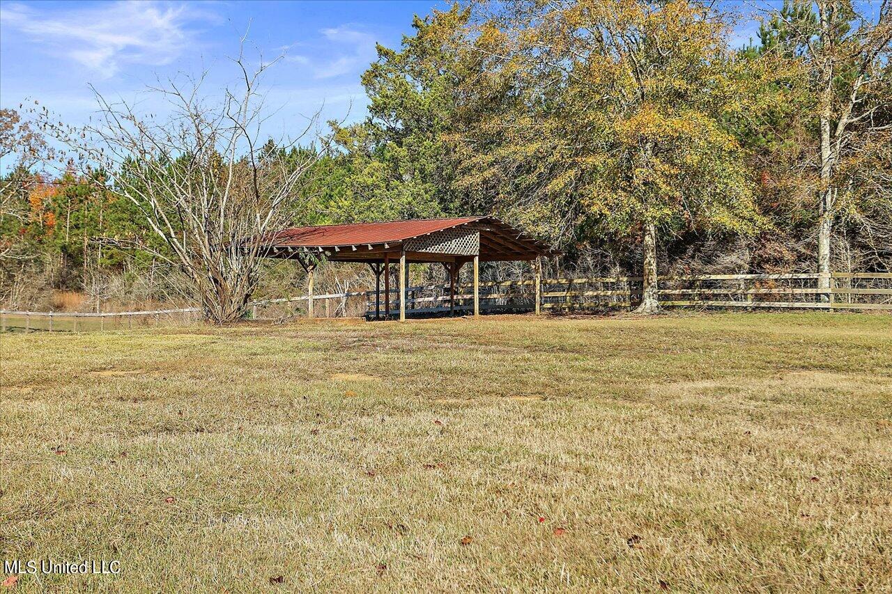 601 Henry Thurman Road Mount Olive, MS 39119 - Photo 48 of 86 48-601 Henry Thurman Rd