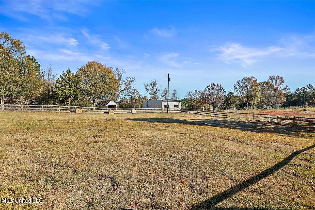 601 Henry Thurman Road Mount Olive, MS 39119 - Photo 49 of 86 49-601 Henry Thurman Rd